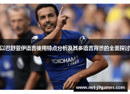 以巴舒亚伊语言使用特点分析及其多语言背景的全面探讨