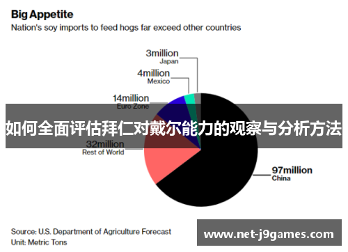 如何全面评估拜仁对戴尔能力的观察与分析方法