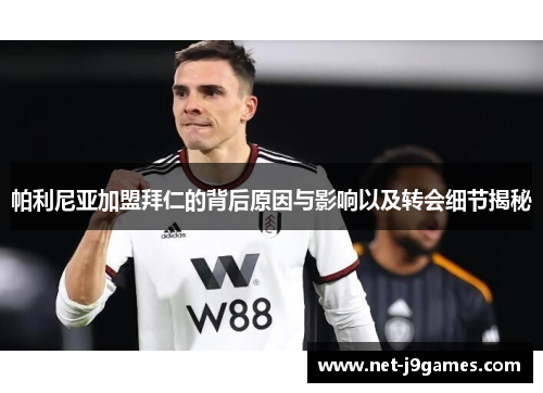 帕利尼亚加盟拜仁的背后原因与影响以及转会细节揭秘